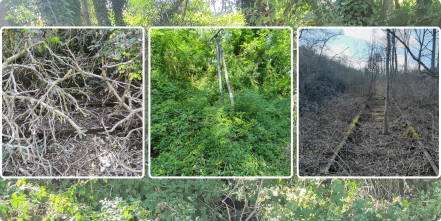 Image d'illustration pour : Actu : Campagne d’entretien de végétation