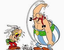 Image d'illustration pour : IRREDUCTIBLE GAULOIS DE LEPIN